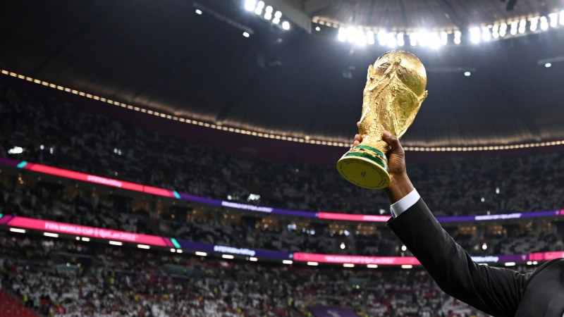 person holding FIFA world cup trophy