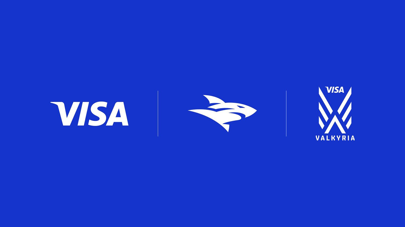 Isurus y Visa renuevan alianza